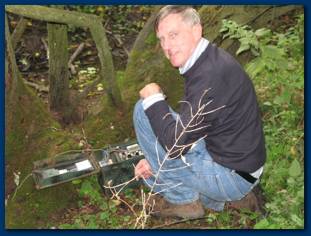 600x449 pixels (158K)